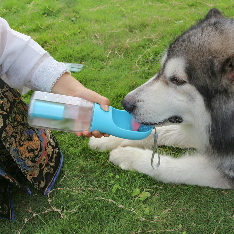 GetPawHydrate 3-in-1 Dog Water Bottle – 600 ml